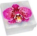 Kubla Crafts Capiz 1028 Speckled Pink Orchid