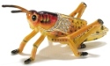 Kubla Crafts Bejeweled Enamel 3436Y Yellow Grasshopper Box
