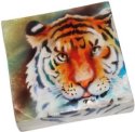 Kubla Crafts Capiz 1103 Tiger Capiz Box