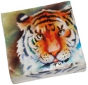 Kubla Crafts Capiz 1103C Tiger Capiz Box