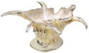 Kubla Crafts Bejeweled Enamel KUB 1117 Spider Conch Shell Bowl