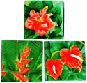 Kubla Crafts Capiz 1137 Tropical Flowers Capiz Box Set of 3