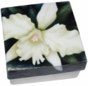 Kubla Crafts Capiz 1196 White Orchid Capiz Box