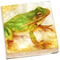 Kubla Crafts Capiz 1214A Capiz Box Tree Frog