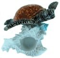 Kubla Crafts Capiz 1367 Sea Turtle on Conch Shell Figurine