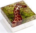 Kubla Crafts Capiz 1555 Capiz Box Giraffe