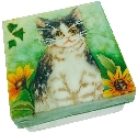 Kubla Crafts Capiz 1572B Capiz Box Kitten Flower