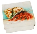 Kubla Crafts Capiz 1575BN Hermit Crab Capiz Box
