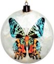Kubla Crafts Capiz 1605B Butterfly Capiz Ornament
