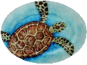Kubla Crafts Capiz 1628A Capiz Oval Plate Sea Turtle