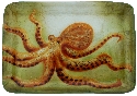 Kubla Crafts Capiz 1629A Capiz Octopus Tray Medium