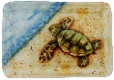 Kubla Crafts Capiz 1629B Sea Turtle Med Capiz Tray