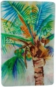 Kubla Crafts Capiz 1687 Large Capiz Tray Palm
