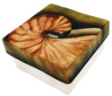 Kubla Crafts Capiz 1702- Capiz Box Nautilus