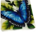 Kubla Crafts Capiz 1730E Blue Butterfly Capiz Box