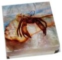 Kubla Crafts Capiz 1575 Capiz Box Hermit Crab