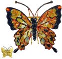 Animals - Insects - Butterflies