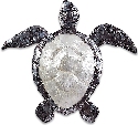 Kubla Crafts Capiz 2112 Medium Capiz Sea Turtle Wall Decor