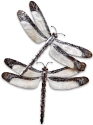 Kubla Crafts Capiz 2128- Dragonflies Capiz and Metal Wall Decor