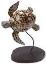 Kubla Crafts Bejeweled Enamel KUB 2137 Cowrie Metal Sea Turtle Figurine