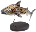 Kubla Crafts Bejeweled Enamel 2138 Cowrie Metal WhaleShark Tabletop