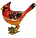 Animals - Birds - A to O