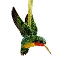Animals - Birds - A to O