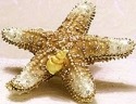Kubla Crafts Bejeweled Enamel 4097- Large Starfish Box