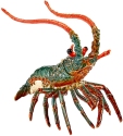 Kubla Crafts Bejeweled Enamel 3097 Articulated Lobster Hinged Box