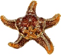 Kubla Crafts Bejeweled Enamel KUB 3148 Brown Starfish