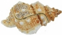 Kubla Crafts Bejeweled Enamel 3182 Large Snail Shell Box