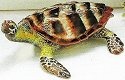 Kubla Crafts Bejeweled Enamel 3628 Sea Turtle Box