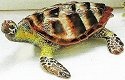 Special Sale SALE3628 Kubla Crafts Bejeweled Enamel 3628 Sea Turtle Box