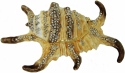 Kubla Crafts Bejeweled Enamel 3181 Large Spider Conch Box