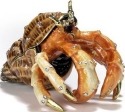 Kubla Crafts Bejeweled Enamel 3394- Large Hermit Crab Box