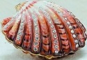 Kubla Crafts Bejeweled Enamel KUB 4 3801 Scallop Shell Box