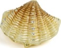 Kubla Crafts Bejeweled Enamel KUB 4 4119 Large Sea Shell Box
