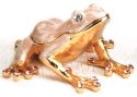 Kubla Crafts Bejeweled Enamel 4004P Pink Frog Box