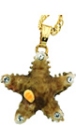Kubla Crafts Bejeweled Enamel 4097N Starfish Necklace