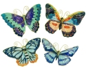 Animals - Insects - Butterflies