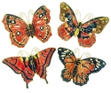 Animals - Insects - Butterflies