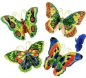 Animals - Insects - Butterflies