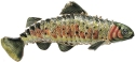 Kubla Crafts Cloisonne 4809 Jeweled Trout Ornament