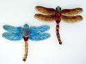 Animals - Insects - Dragonflies