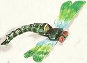 Kubla Crafts Cloisonne 4931G Cloisonne Dragonfly Ornament Green