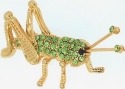 Animals - Insects - Various