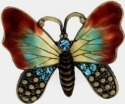 Animals - Insects - Butterflies