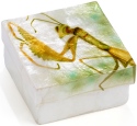 Kubla Crafts Capiz 1747 Praying Mantis Capiz Box