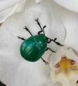 Kubla Crafts Capiz 5629G Clay and Wire Magnetic Green Beetle Set of 6