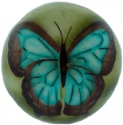 Kubla Crafts Capiz 1757 Capiz Ball Butterfly